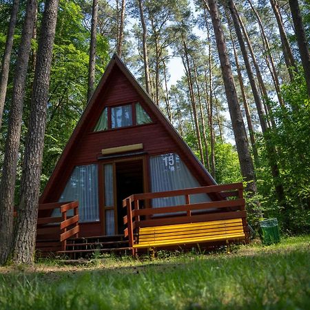 "Lesne Ustronie" Villa Byslaw Bagian luar foto