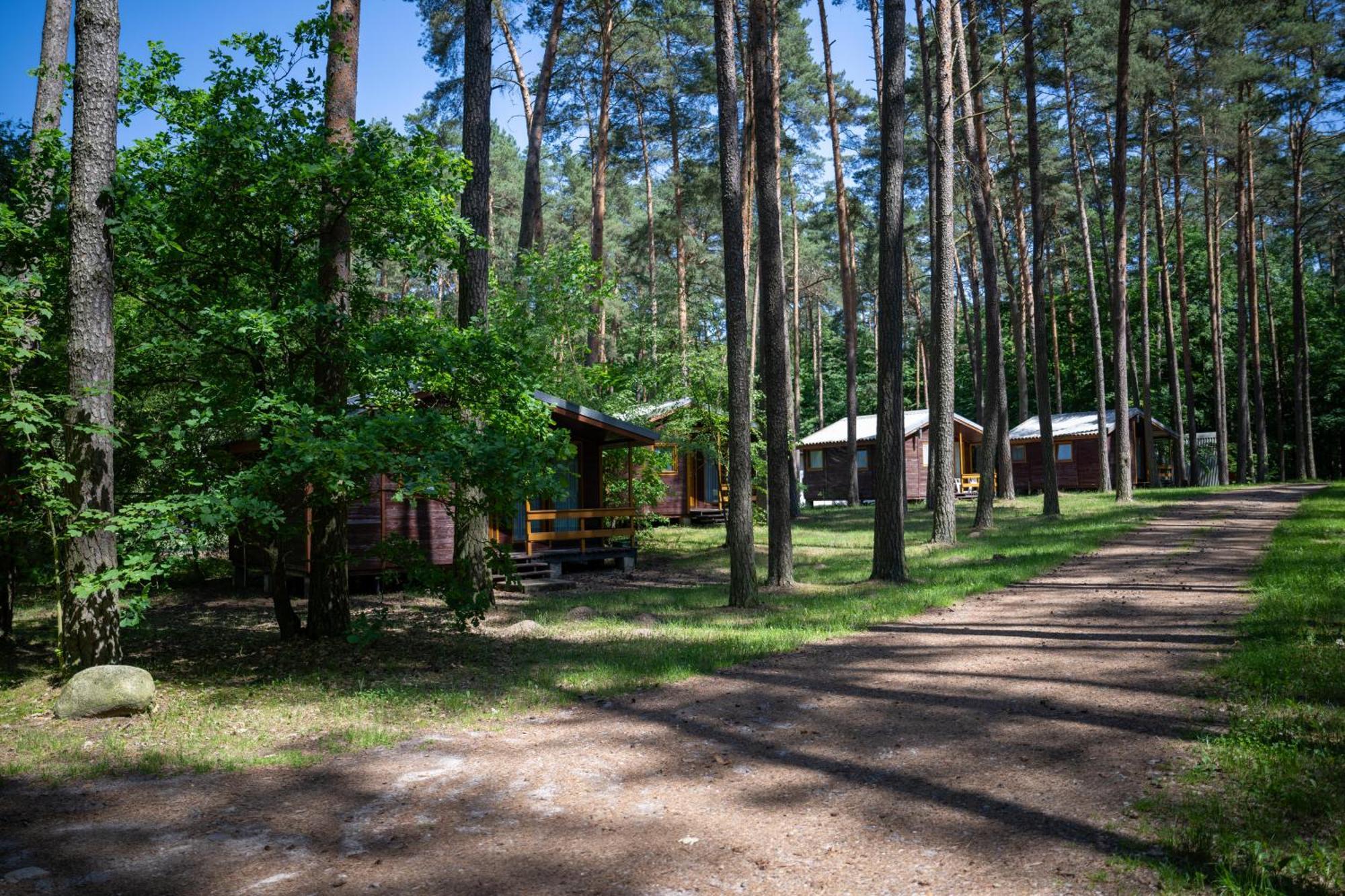 "Lesne Ustronie" Villa Byslaw Bagian luar foto