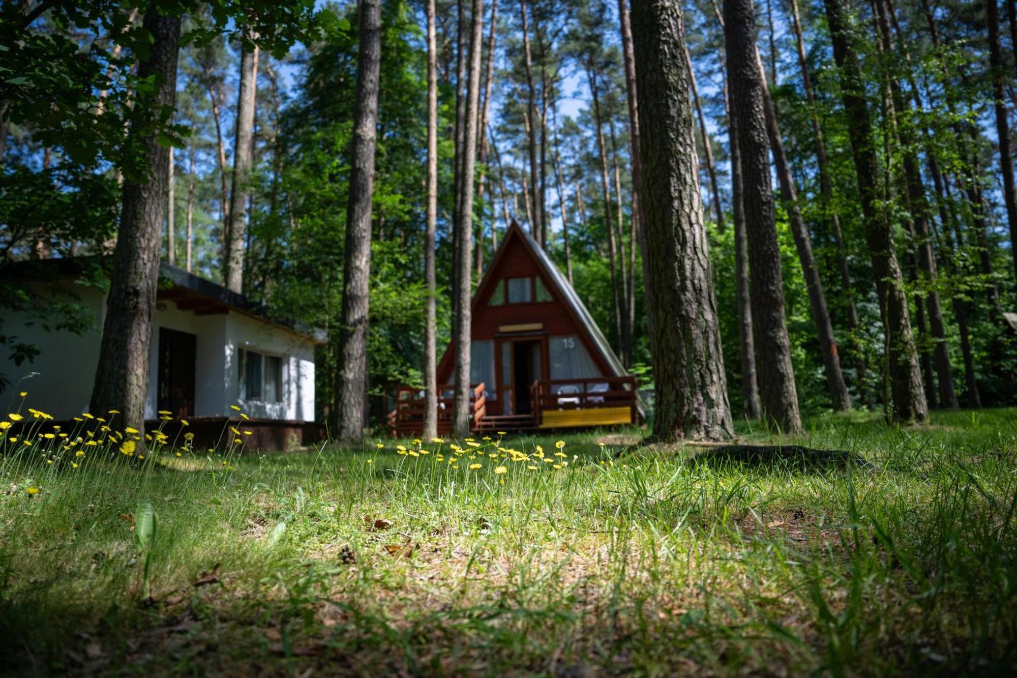 "Lesne Ustronie" Villa Byslaw Bagian luar foto